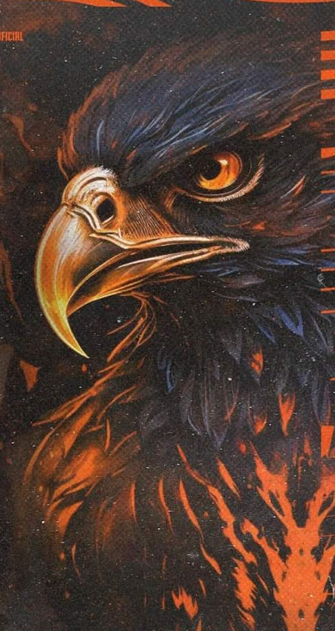 🧡🖤🧡🖤🧡🖤