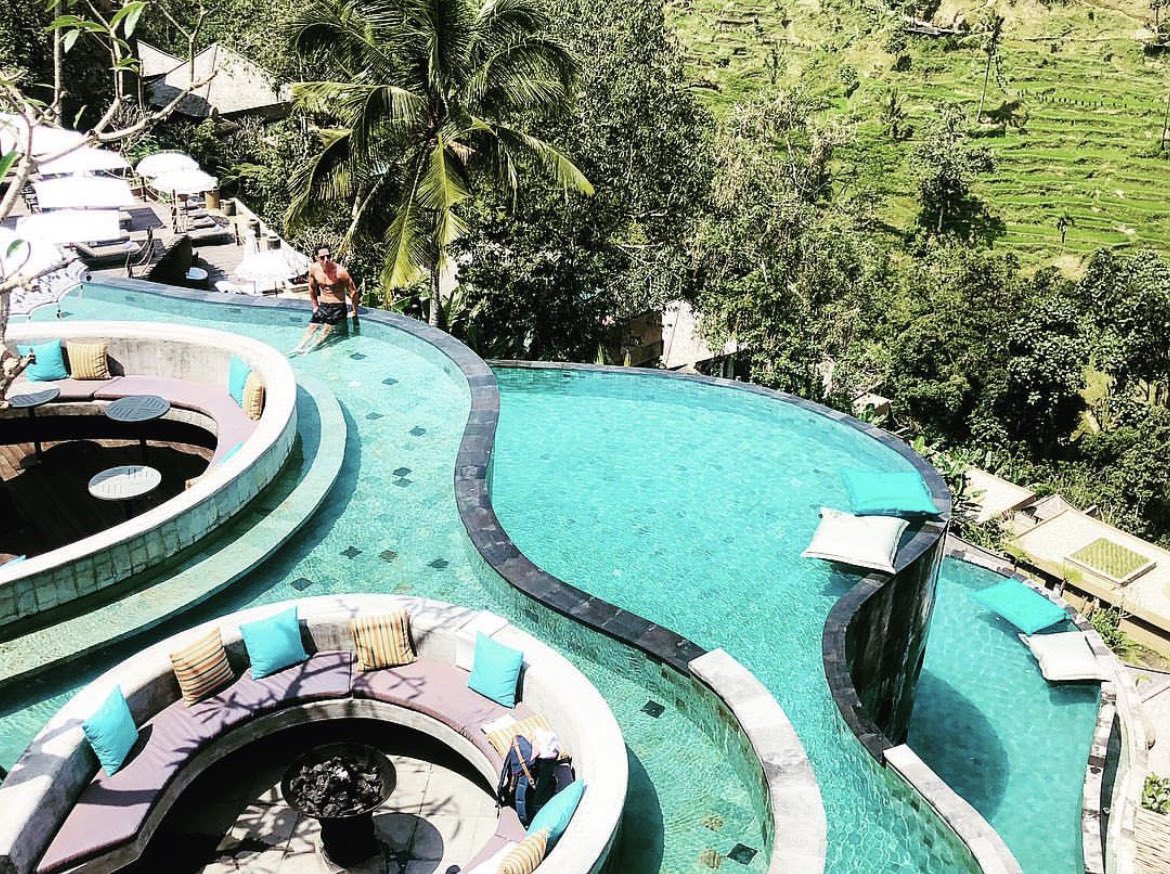 The Hungarian 🐺🇭🇺 tweet media