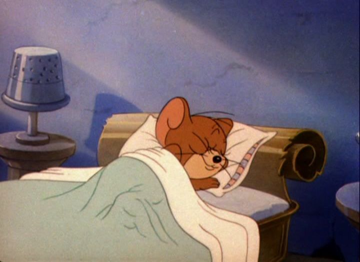 BraianMarchisio's tweet photo. @thuvaxx Yo volviendo a mi cama https://t.co/QGsX6znzEW