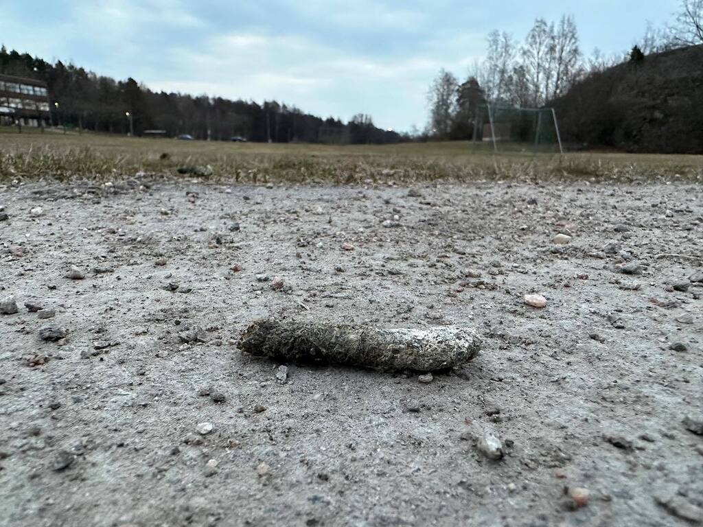 marlenebergman's tweet photo. Spring signs comes in all shapes and forms ๐ #morning #morningwalk #walk #thursday #april13 #spring #oxls #oxelรถsund #sweden #outdoors #exercise #birdpoop #geese #springsign https://t.co/8TBiRsH562