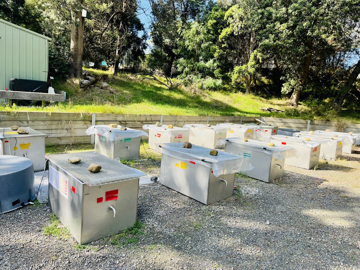 Upama Aich tweet media