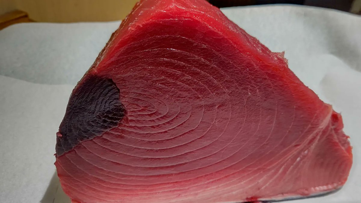 15Bushin's tweet photo. 良い本マグロの赤身入荷致しました🎵
中々旨い‼️おすすめです🙆

周年イベント期間
ぼちぼち予約入って来ておりますので
お早めに御予約を、おすすめ致します‼️

せっかくなので
アフターコロナ
皆でお酒飲んで
楽しみましょ～☺️ https://t.co/MkGCtVk2o4