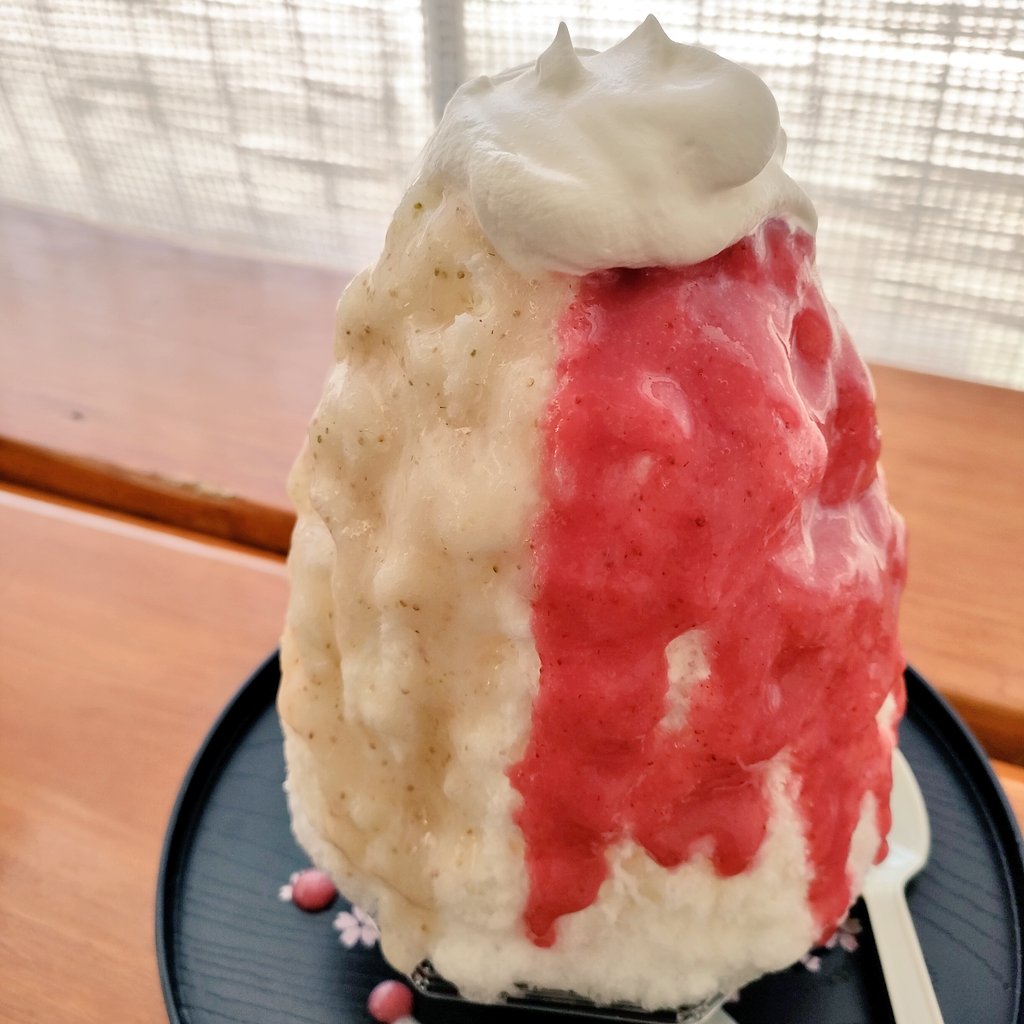 tomozo_works's tweet photo. 氷屋さんの老舗 蔵元松月さん🧊

かき氷ふわふわでめちゃくちゃ美味い！！！しかもこのサイズ！！！最強〜🤤🤤 https://t.co/3eOEpFoQC0