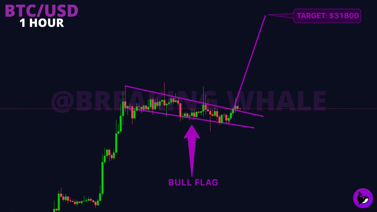 BreakingWhale's tweet photo. BREAKING CHART: #Bitcoin is breaking out of this bull flag on 1hrly timeframe! https://t.co/XRFzEMa5dB