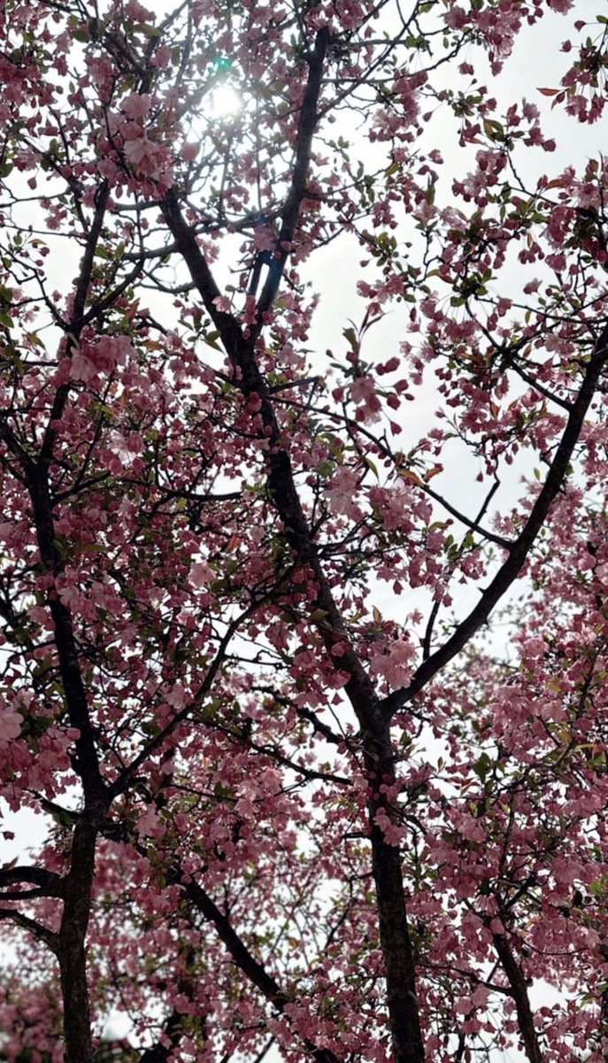 DailylofV's tweet photo. TAEHYUNG [thv] IG story update: 

Always by daniel caesar (feat. summer walker: https://t.co/rQjgCnkbww https://t.co/IpbEaCco6g