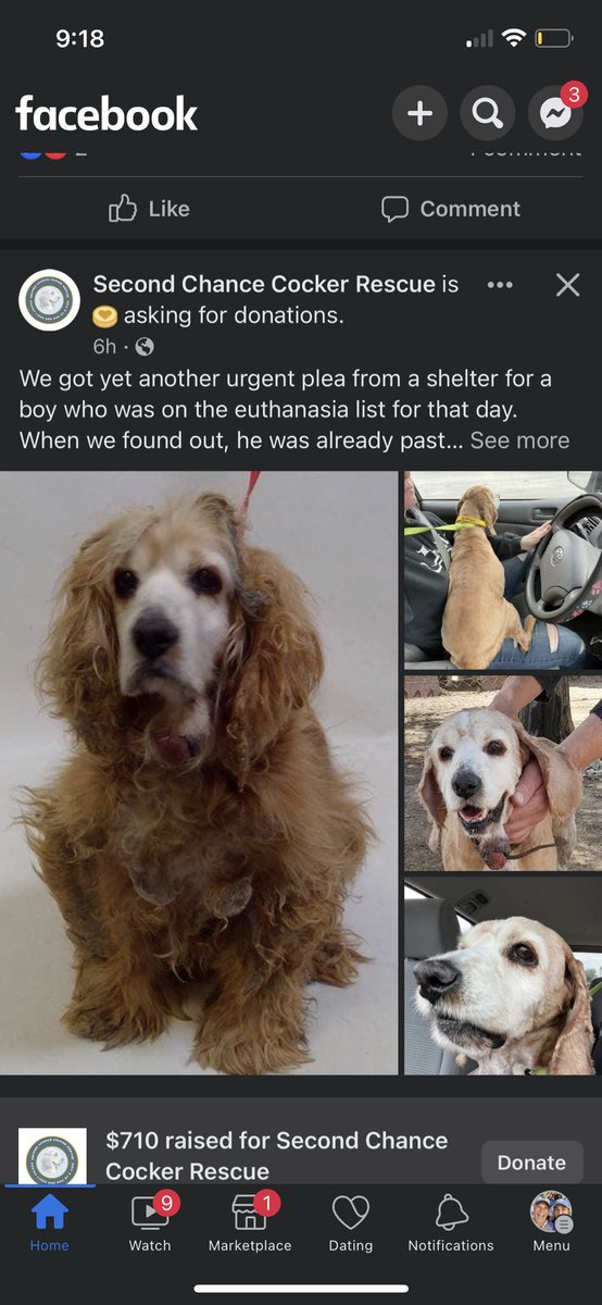 megrow1's tweet photo. @alannarizzo So glad he got rescued! Looks like Second Chance Rescue pulled him https://t.co/SnuPSy0Yxg https://t.co/UcDoSu4nLG