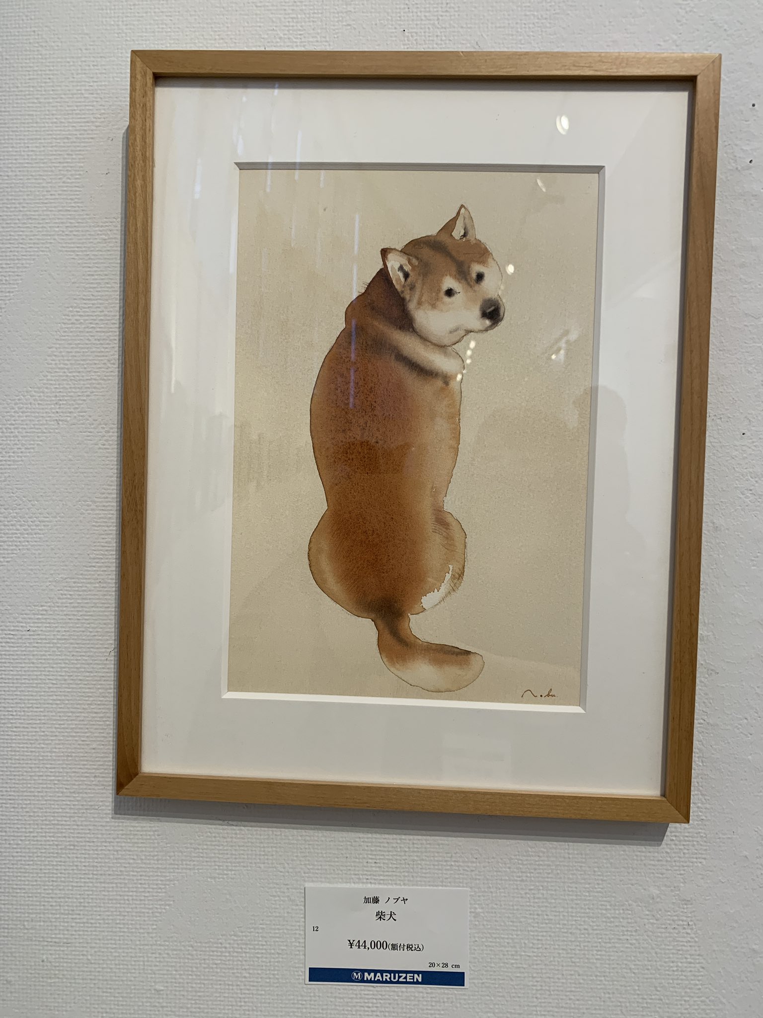加藤ノブヤ 作品 犬 | www.unimac.az