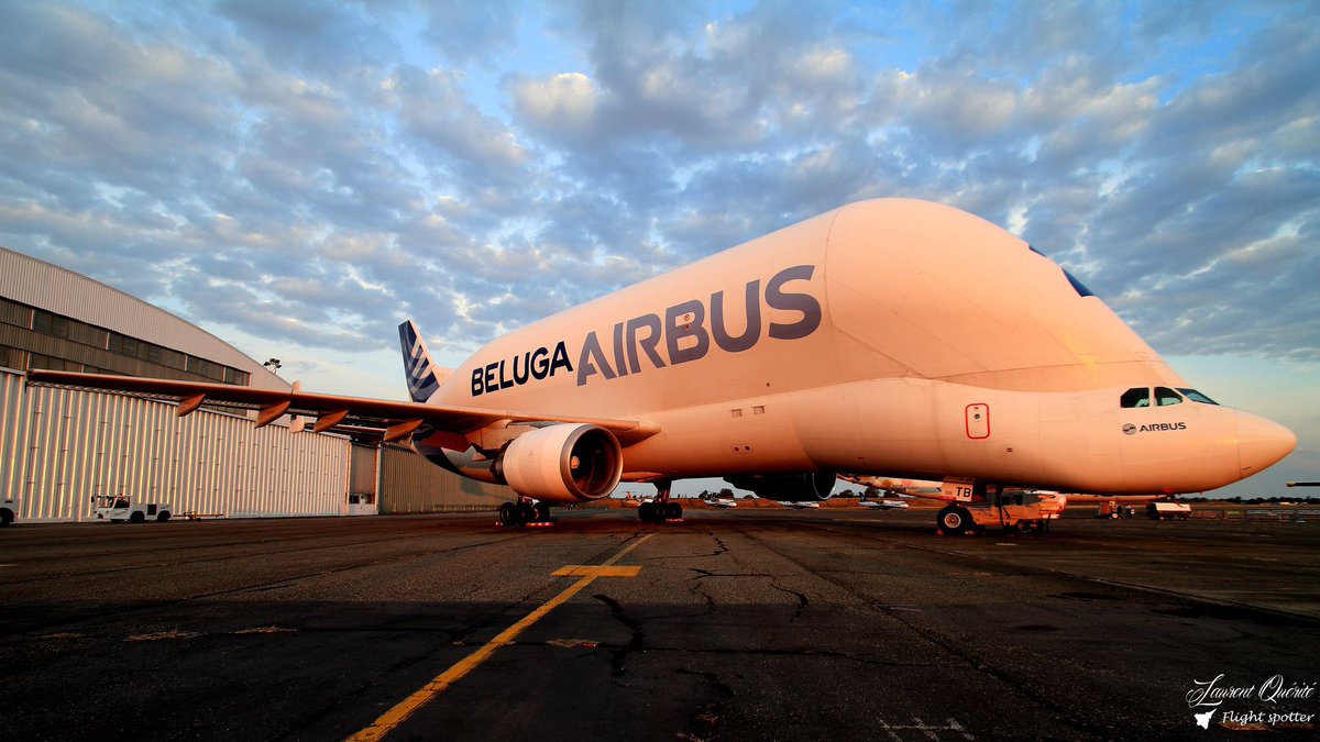 aircommunityFR's tweet photo. [Industrie] - @Airbus 

[1/2]
C’était un grand jour hier pour Airbus Transport International !

Le F-GSTF (Beluga ST #5) a tiré sa révérence ! ✈️

En effet, c’est l’avant dernier Beluga ST à quitter la flotte d’ATI ce mercredi pour rejoindre celle qui s’occupera d’eux durant encore 10 ans au moins « Airbus Beluga Transport » ! 

Désormais l’avion sera basé à Bordeaux et Toulouse Francazal et volera à travers le monde entier pour des clients publics ou privés ! 

📸 : Laurent Quérité