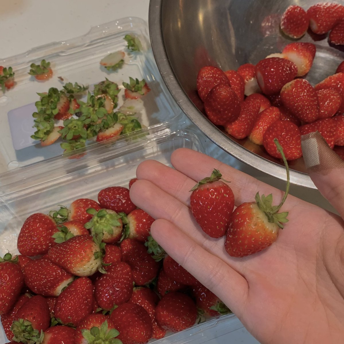 mel0ndiaries's tweet photo. happiness is drawing in bed, small strawberries and sunsets 🫐🍓🍐 https://t.co/ODZ1qJAhLn