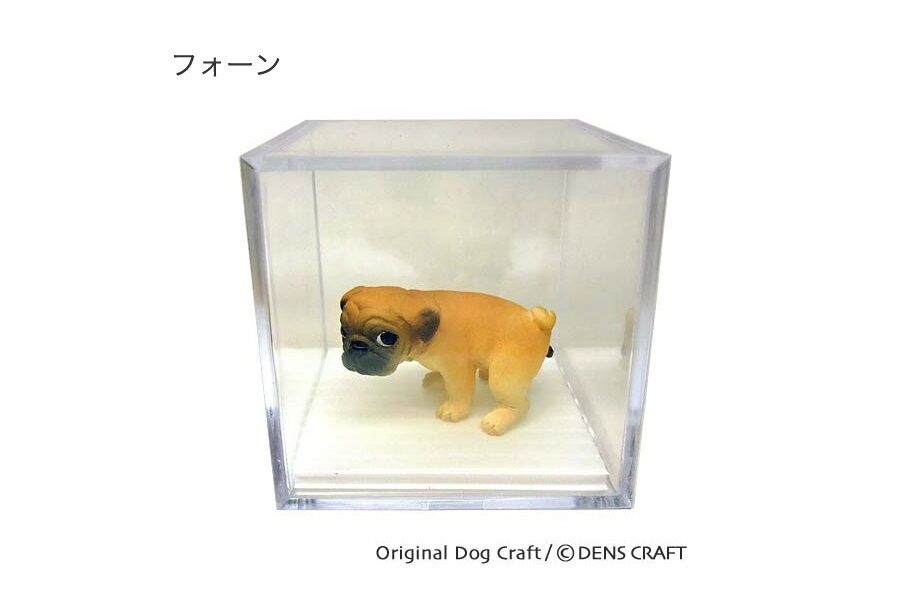 aya_19910328's tweet photo. #パグ
#DENSCRAFT
Dog@CUBEシリーズ
今回は人気のパグのご紹介
🐶茶色と黒の2種類🐶
🎆この後も人気犬種を続々追加予定🎆
🌟フィギュア作家・伝さんの作品になります🌟
🥰商品はすべてハンドメイド品です🥰
#フォロバ https://t.co/PpzgX8acYW