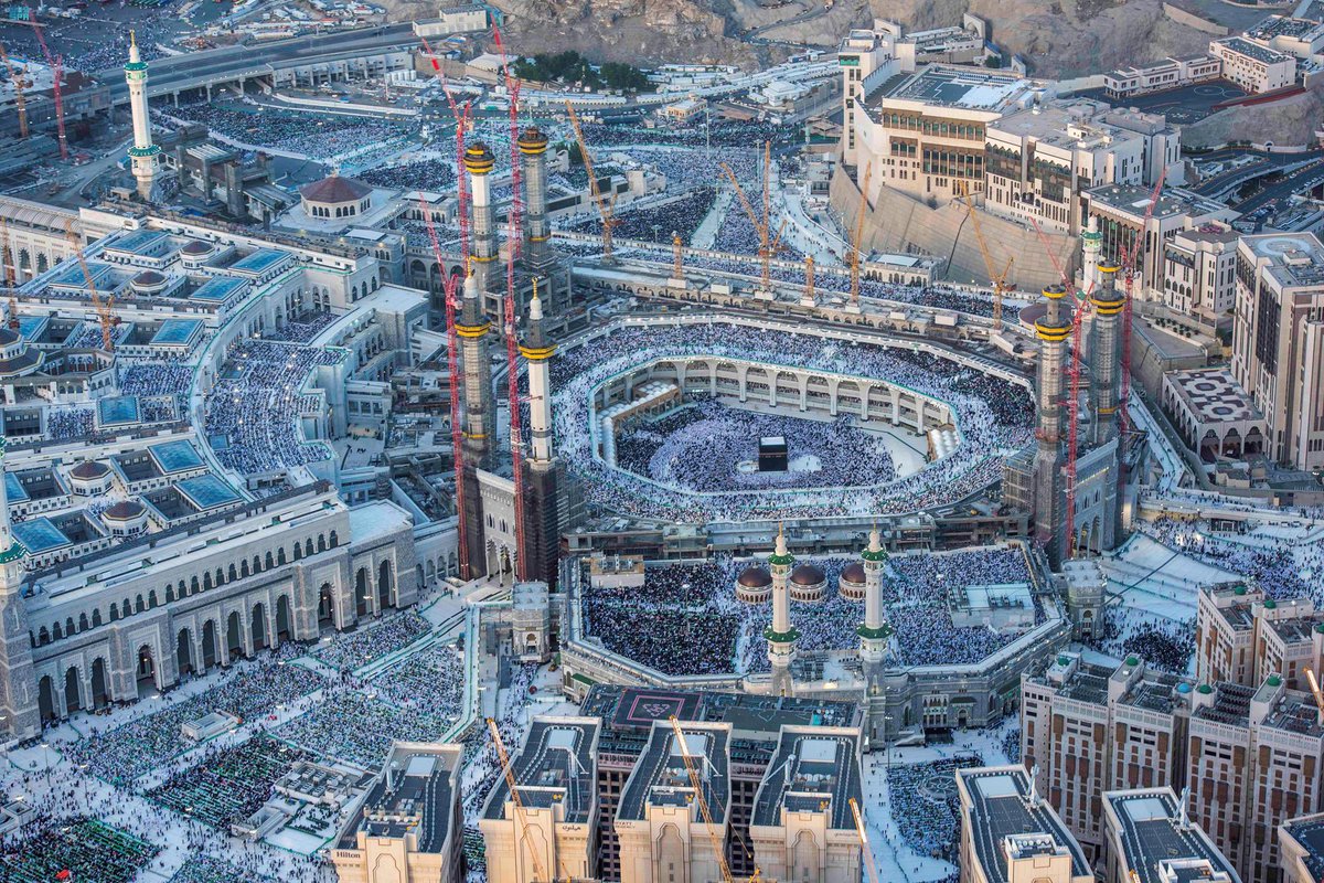 إياد الحمود tweet media