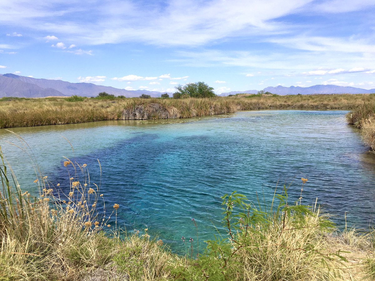 Danny_bdn's tweet photo. Hermoso lugar! #Cuatrocienegas #pozaazul https://t.co/hF4FYQX6oR