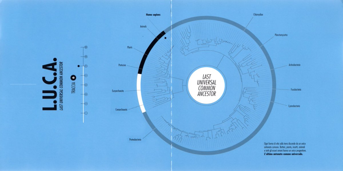 anticofuturo's tweet photo. 6/8
L.U.C.A. - Last Universal Common Ancestor
Ogni forma di vita sulla Terra discende da un unico antenato comune.
Batteri, piante, insetti, animali, tutti gli esseri umani hanno un unico progenitore: l'ultimo antenato comune universale.
(#Deproducers, 2019) https://t.co/zHyQdk62dM