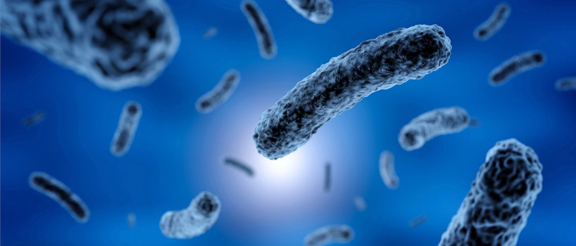 Happy_Patient's tweet photo. 🌍💊 The WHO calls on governments and pharmaceutical companies to invest in research and development of new antibiotics and also recommends that antibiotics be used more judiciously to prevent the emergence of drug-resistant bacteria  

https://t.co/4nfTi3Eweo

#AMR #EU3Health https://t.co/pk7tXPCLq3