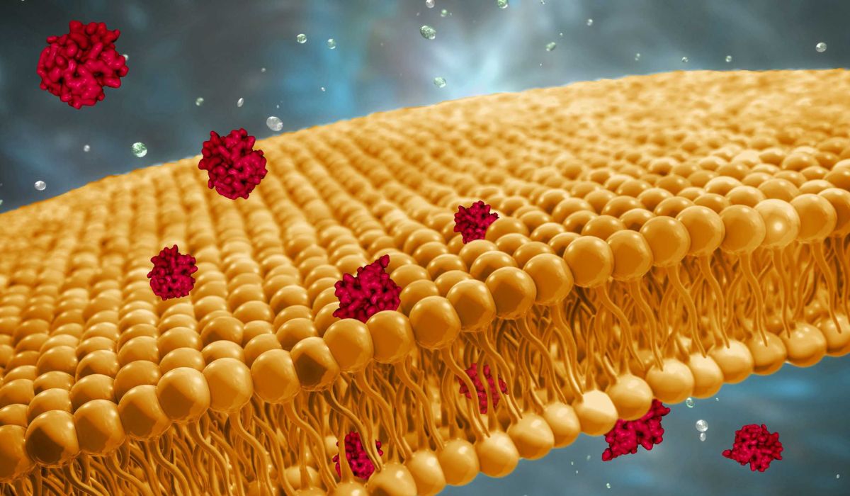 moremedtech's tweet image. Computer simulations help researchers understand how drugs get into blood
#computersimulation #drugdiscovery #blood #science #pharmanews #research #medtech #medtechnews #technology
moremedtech.com/computer-simul…