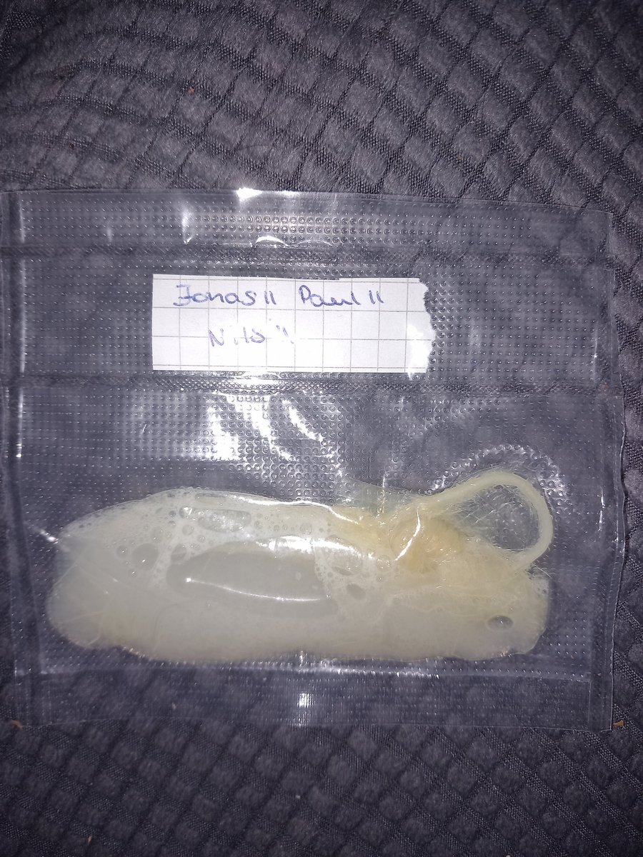 Backup🇩🇪 tweet media