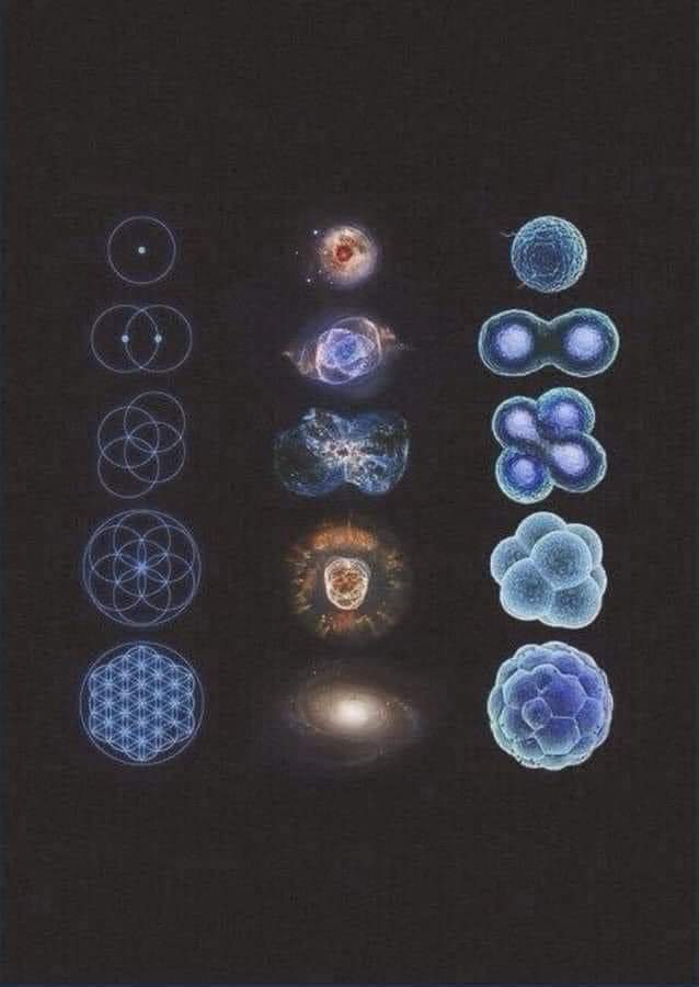 InformaCosmos's tweet image. Matemáticas - Astronomía - Biología