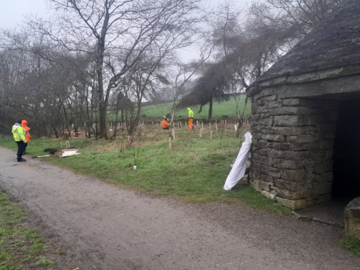 fitforwork1's tweet photo. Over the last few weeks, @fitforwork1 have planted over 1300 Native species trees around the @peakdistrict with @PeakPark_PPCV #Legacy #CFO @Ingeus_uk @IngeusUK @co_financing @hmpps #Derbyshire @BBCCountryfile #conservation #habitat #wildlife https://t.co/zDXoNr5iDj