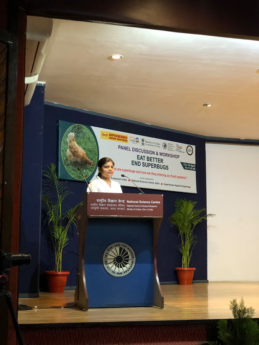 SaSuperbugs's tweet photo. It’s a full house as we kick off a super imp discussion on #superbugs in our #food &amp; #environment with #youngpeople @SciMuseumDelhi  

Our experts unpack complex ideas &amp; behaviours around #antibiotic use and misuse 💊 and what can we do to stop the rise of #superbugs 🦠 #nextgen https://t.co/NYzEhvsiZi