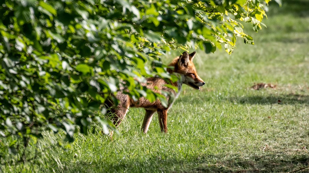 Coton View 🍃💚🍃 tweet media