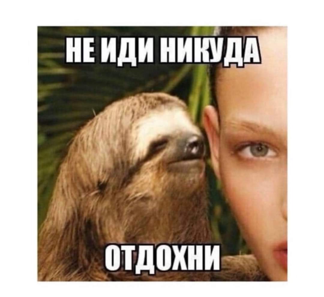Утра, дорогие мои