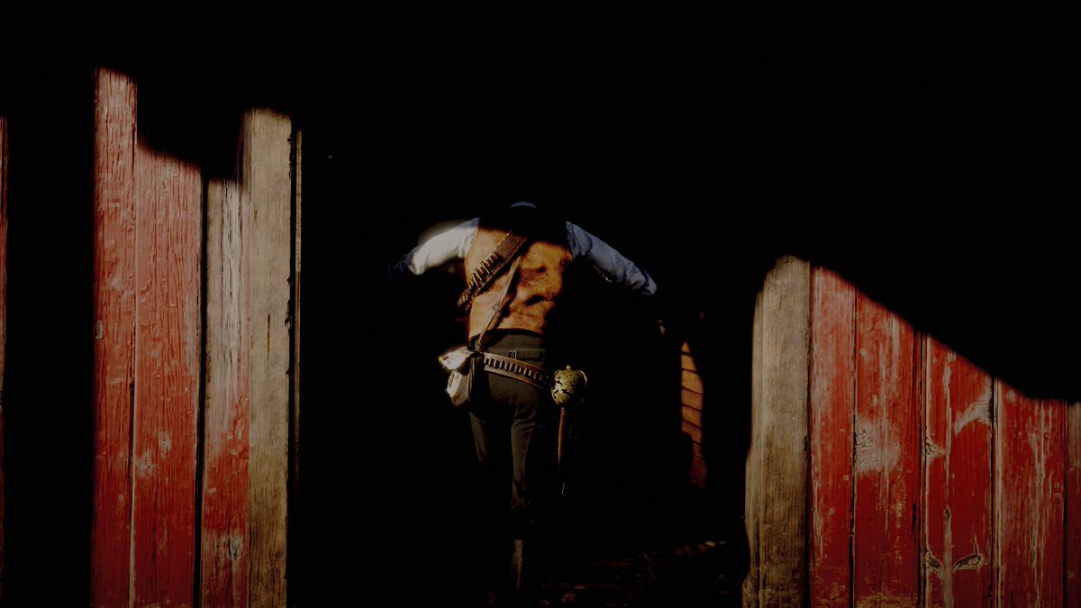 Ag_Beaver's tweet photo. Left side or right side? 
Really love all of these shots though! #RDR2 #RedDeadRedemption2 #PS4share #VirtualPhotography #VGPUnite #VPRT #PhotoMode #ThePhotoMode #WorldofVP https://t.co/127sodCedh