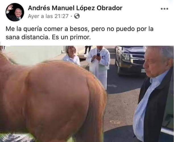 puro Lol tweet media
