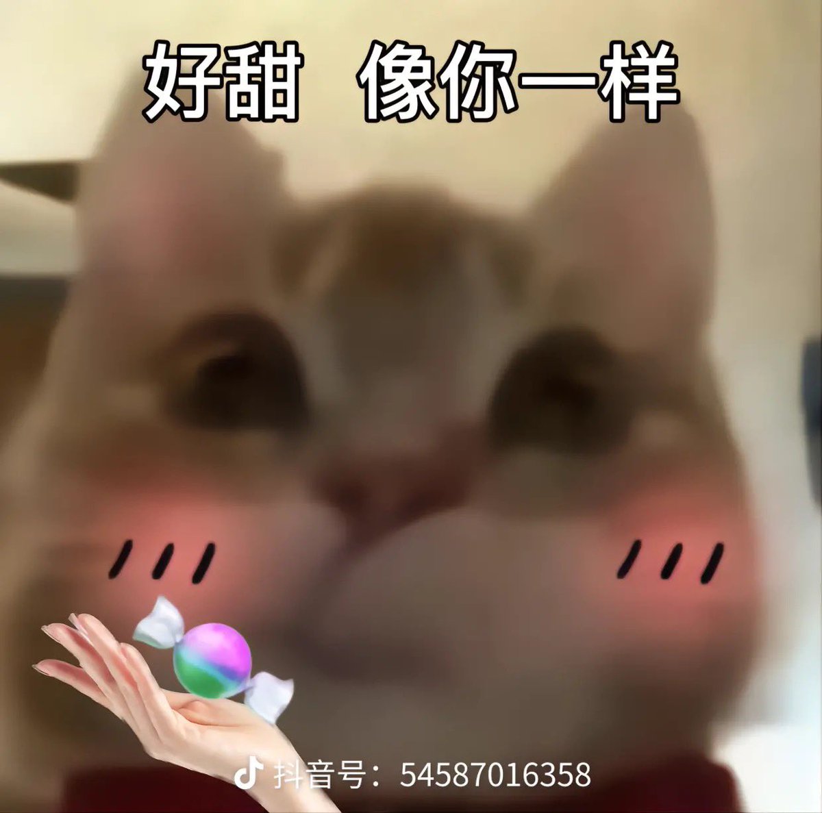 windhard123's tweet photo. @az39329 @H_KANNA_0203 https://t.co/DK9v03DrnH
