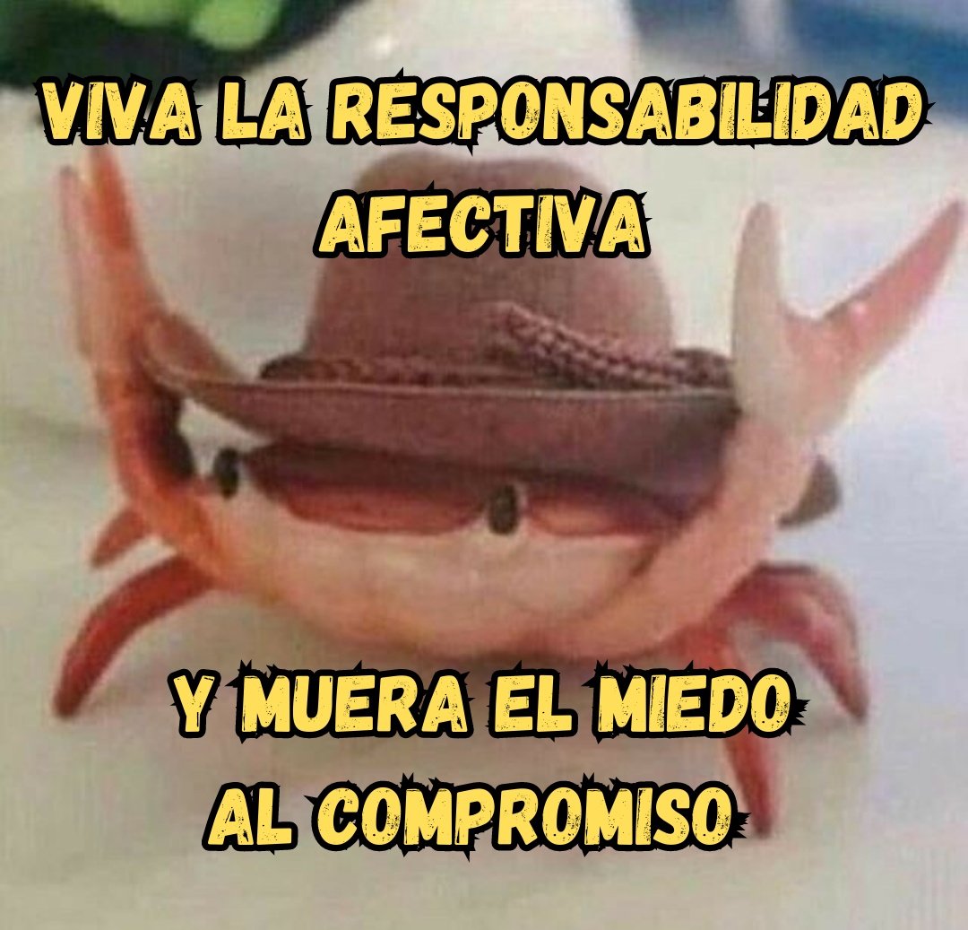 punk_y_cursi's tweet photo. 🦀 https://t.co/EMDaptOvvb