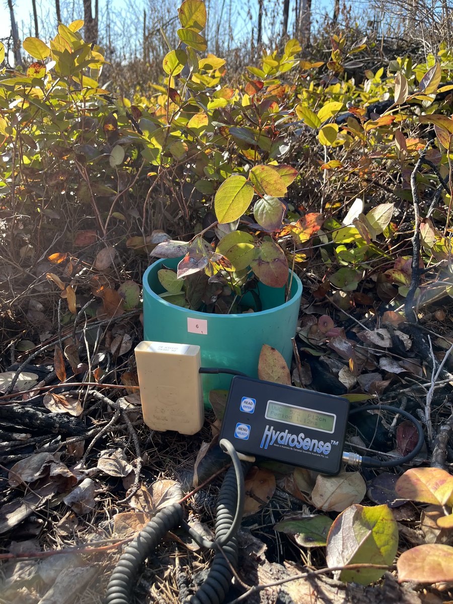 So excited to assist Zoe with chamber sampling in Burns Bog today!  It's great to have the opportunity to learn more about the new Smart Chamber and help with ancillary measurements during the sampling process. Hard-working <a href="/zoehehanzhang/">Zoe Zhang</a> 👍🏻