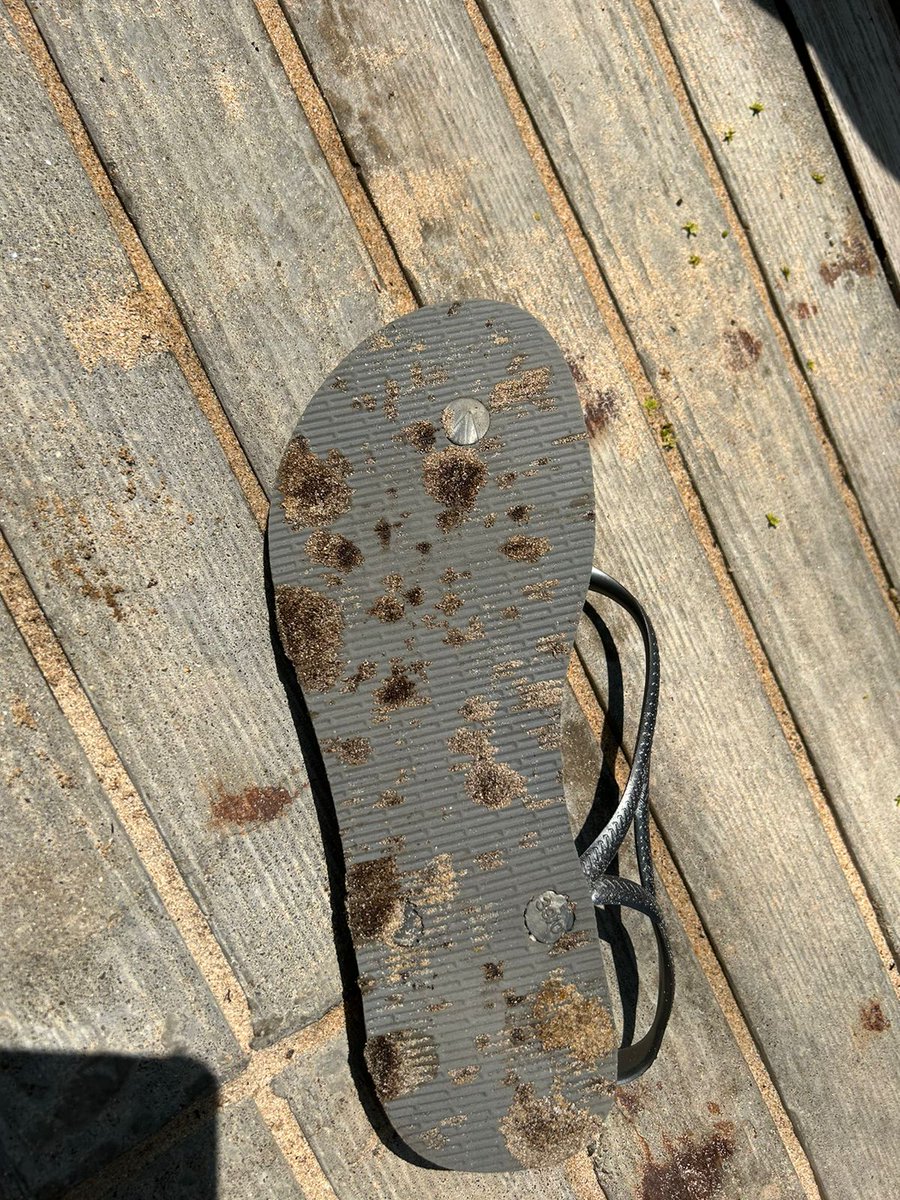 PearlProtectors's tweet photo. We are receiving reports of a grease / tar-like substance leaking on to the Uppuveli Beach area from a ship (SOYO LNG Tanker) that’s currently anchored off the Trincomalee waters

The tar-like substance is currently polluting the Pigeon Island National Park 

#soyotanker #soyo https://t.co/DFFFdgXLLi