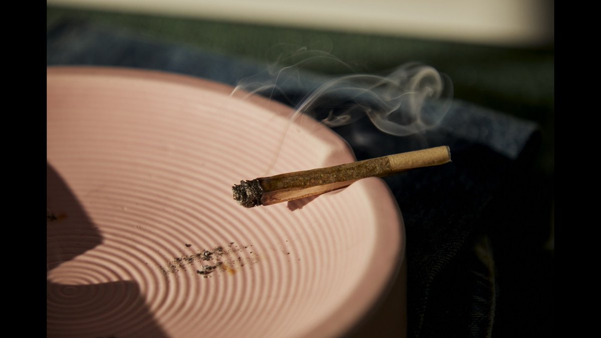 JaneToolbox's tweet photo. How to Get Rid of Weed Smell ? Clear the Air with PotAway Home Set
https://t.co/JayOnTKY8L https://t.co/MWGIlMfPAO