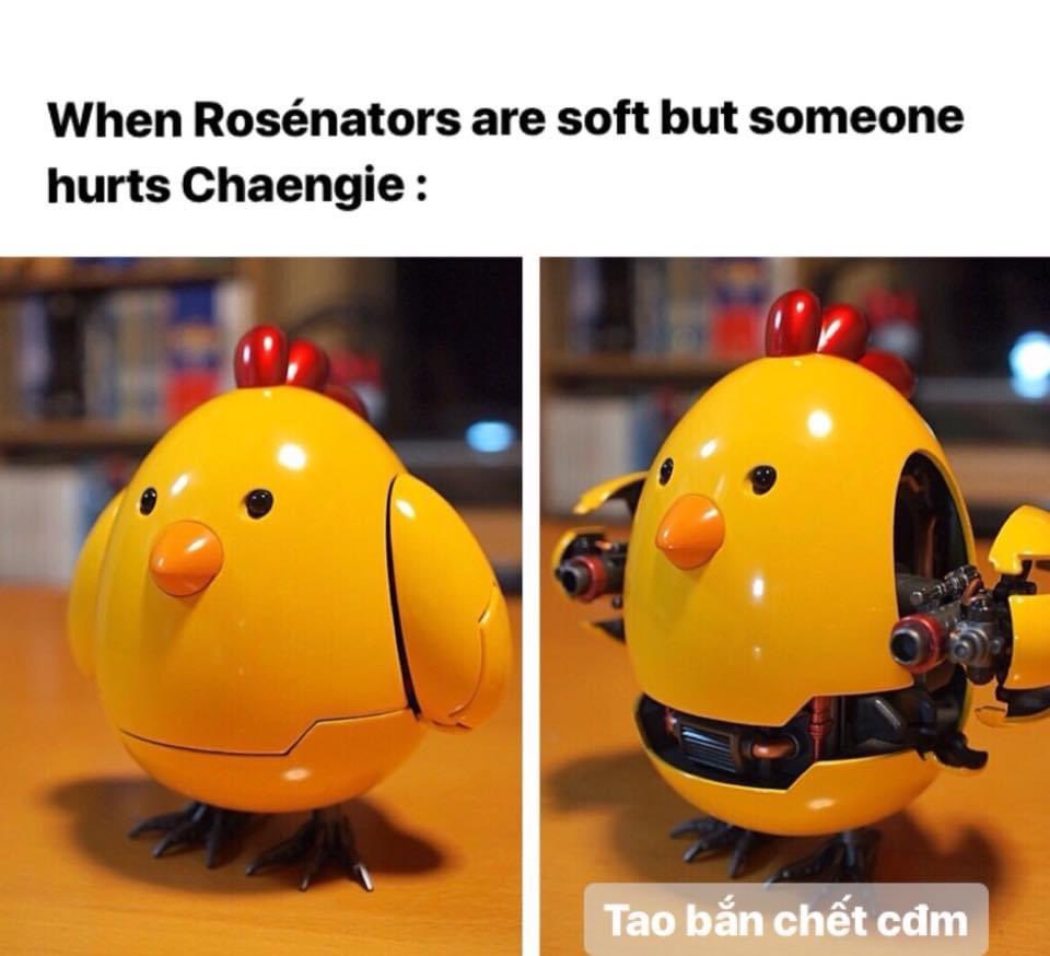 roadtorose's tweet photo. Tụi mình sẽ tổ chức report thằng kia ngay khi nó vừa mở lại acc nha mọi người. Mình biết là mất acc này nó có thể tạo acc khác liền nhưng mục đích chính ở đây là report để mất lượng follower mà nó đang có. 

TỤI MÌNH SẼ GIVE AWAY ALBUM ROSÉ KÈM THEO NỮA. https://t.co/HHRQtj6OGy