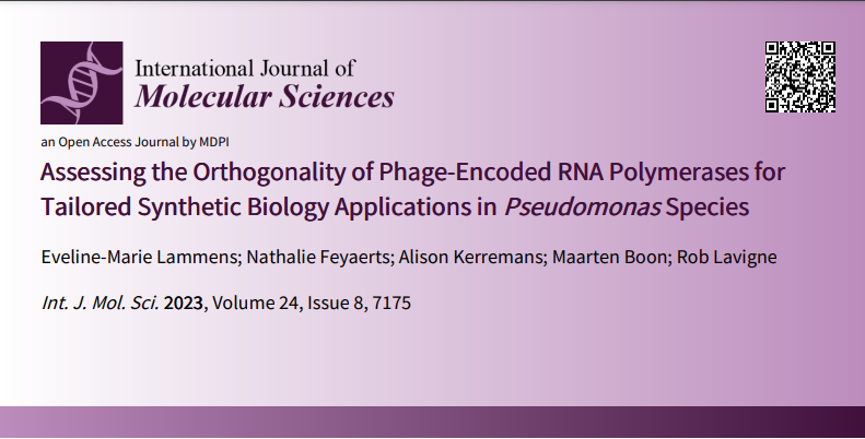 EvelineLammens's tweet photo. Characterization of the transcriptional machinery of four T7-like Pseudomonas phages: orthogonal RNA polymerases, promoters and lysozymes! https://t.co/LskqbguFUl #bacteriophage #T7 #pseudomonas #putida #SynBio @RobLavigne1 @MaartenBoon30 @MDPIopenaccess https://t.co/RzFLrqz4As