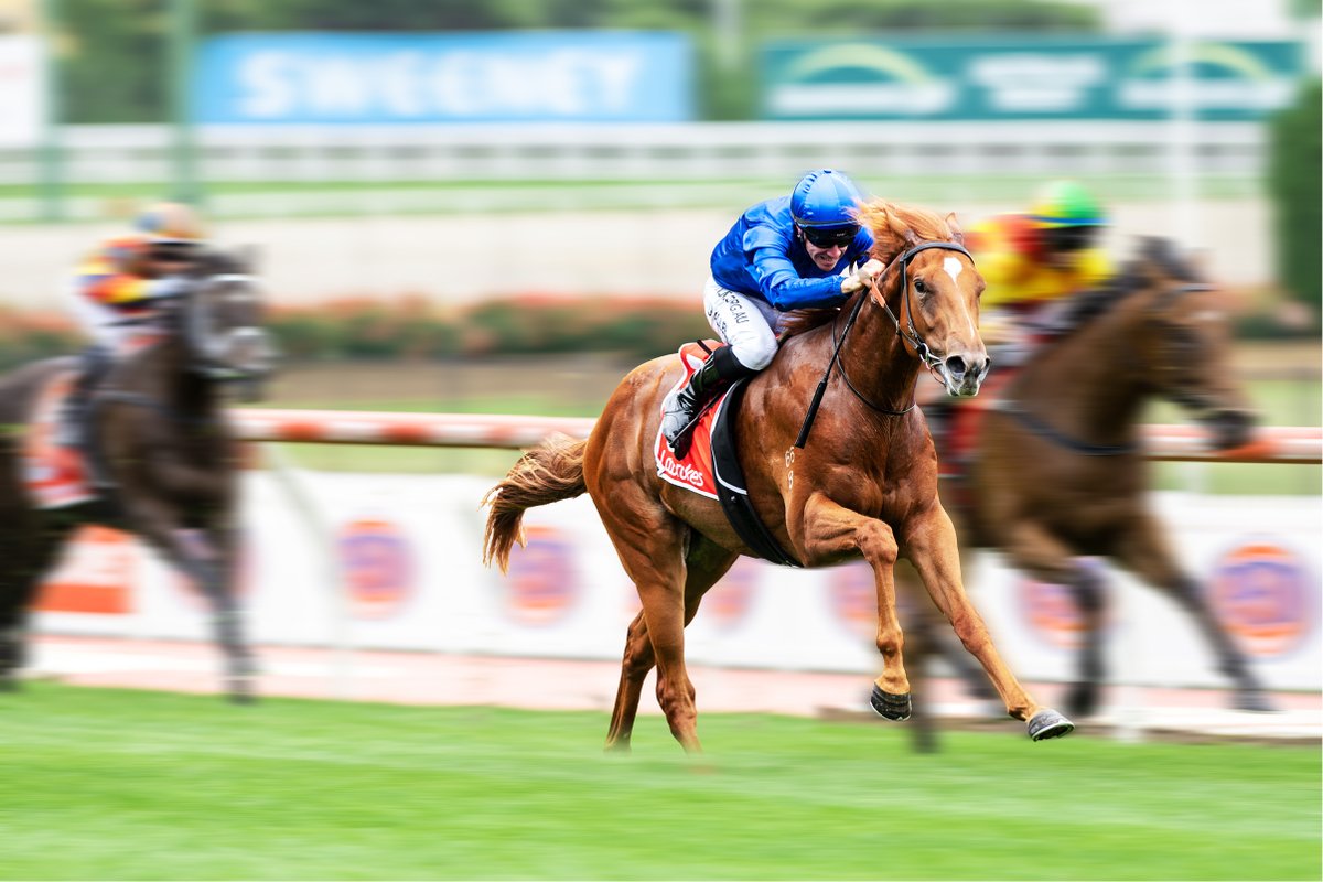 NEWS: #Paulele to stand at Northwood Park in Victoria. A five-time Group winner including the all-important G1 1,200m weight-for-age sprint. Find out more 🔹 darley.to/PauleleAus