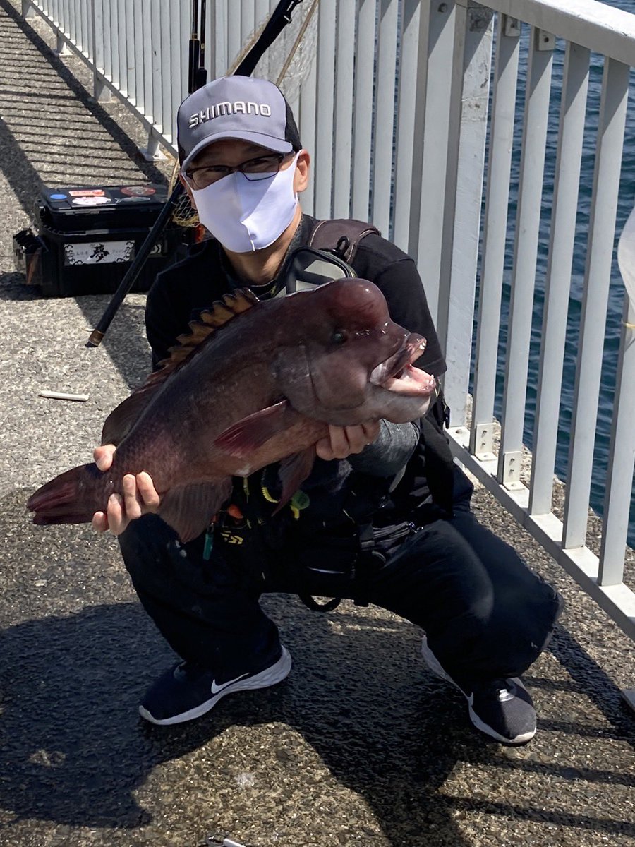 teppen1974's tweet photo. 今年の目標わ~自己記録の
ブリ83cm、6.3kg(セットアッパー、ポーアイ沖)
タチウオ107cmF4.5(ビッグバッカー、印南漁港)
サワラ90cm(ビッグバッカー、ポーアイ沖)
タコ2kg(タコゆら、ポーアイ沖)
アオリイカ970g(ヤエン)
アオリイカ2.25kg(ウキ、印南)
コウイカ860g
コブダイ69cm
を更新する事です！✊ https://t.co/ebyRk3QI19