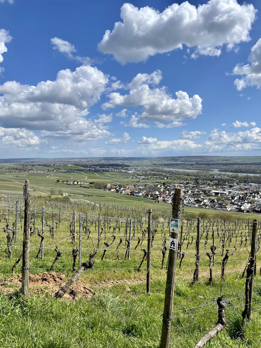 KMajooka's tweet image. لگتا ایسا ہے کہ آخر موسم بدلنے لگا ہے ☺️🌺☘️🌞
#SpringStart