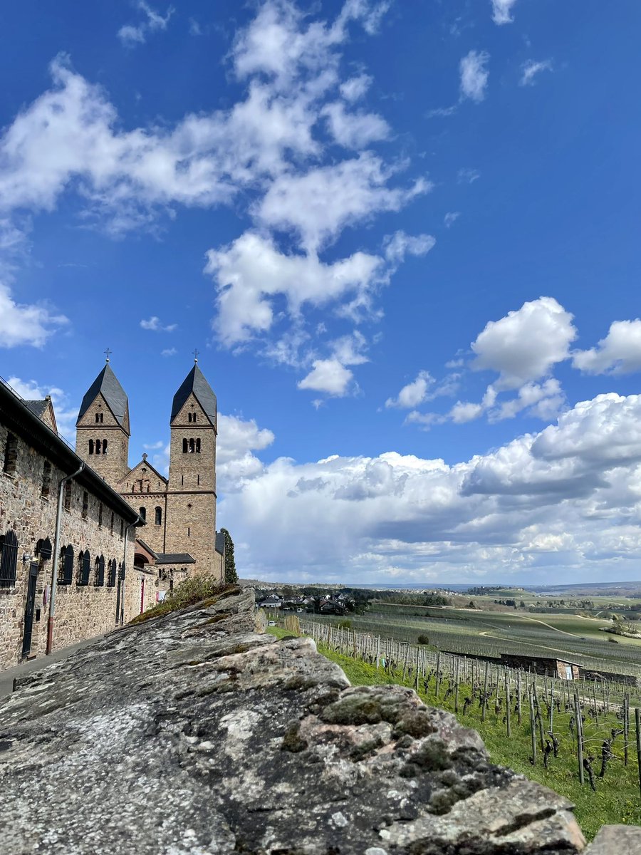 KMajooka's tweet image. لگتا ایسا ہے کہ آخر موسم بدلنے لگا ہے ☺️🌺☘️🌞
#SpringStart