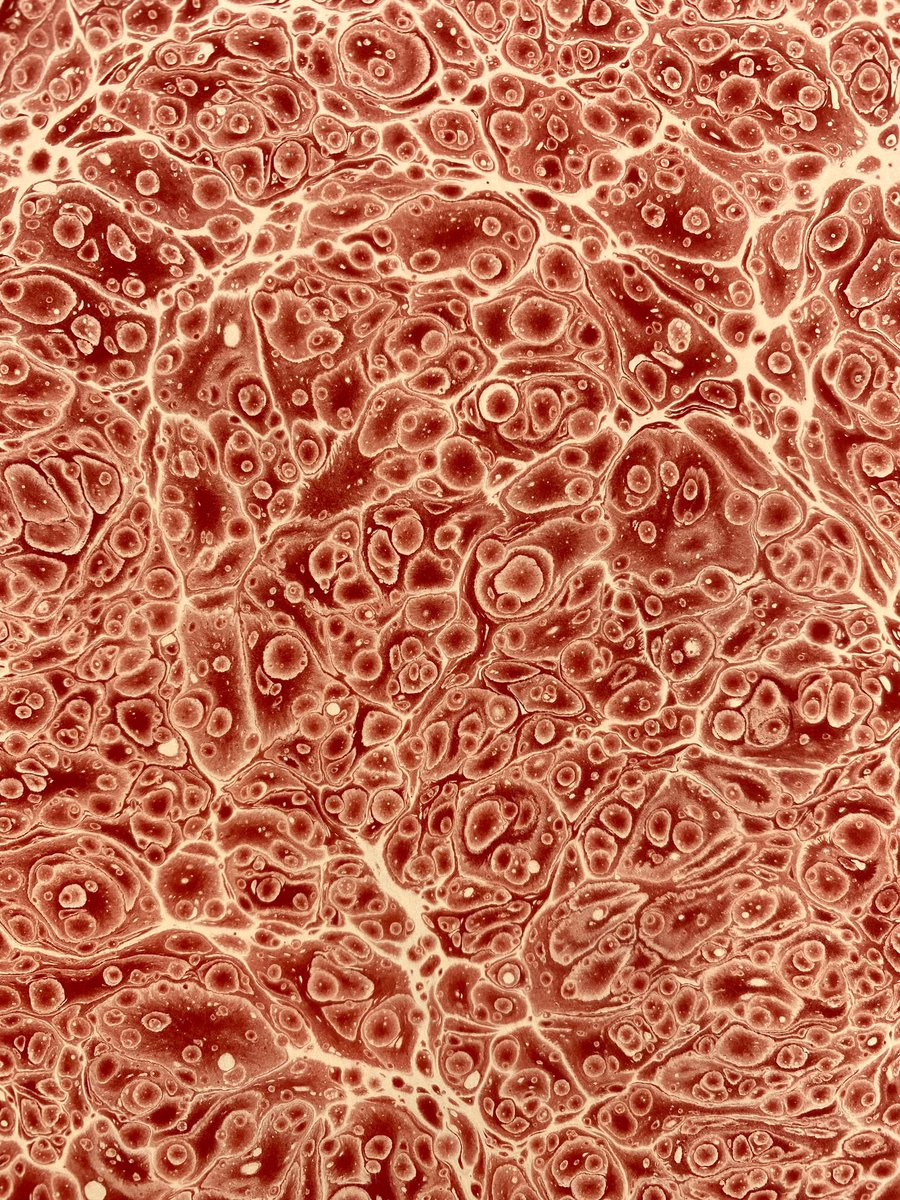 Gm dear friends☀️☕️

Have a great Thursday!🕊🍀☀️

On #tezos
Battal Ebru / Marbling Art CE #4
Edition: 28/35
Price: 5.98 $XTZ

🔥Nondigital handmade❤️

Objkt🔗👇
objkt.com/asset/hicetnun…

#NFT #NFTs #NFTCommunity #tezosart #tezoscommunity #tezoscollectors #marblingart