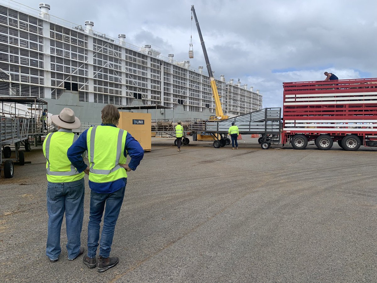 livestock_the's tweet photo. In Fremantle yesterday with sheep &amp; cattle heading to Jordan &amp; Israel.
Industry leaders representing @SheepProducers, @CattleAus &amp; @WAFarmers, members of Parliament, vets &amp; members of Australian Veterinary Association took time to come see the industry &amp; #AnimalWelfare standards. https://t.co/0PmHtWAp3v