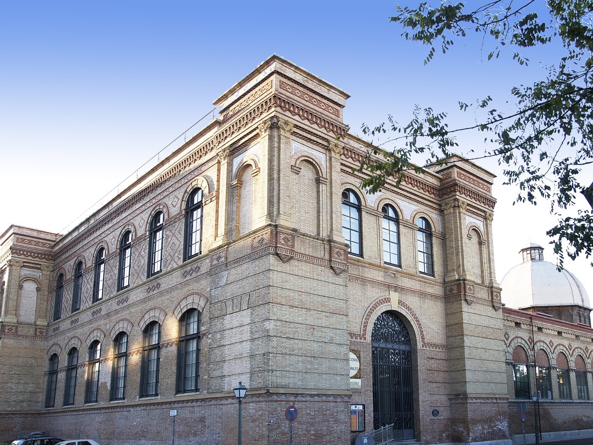 IEFCPlantForest's tweet photo. Today, we begin the Symposium on Complex Forests at the National Museum of Natural Sciences. Looking forward to the presentations!
#complexforests #mixedforests @COMFOR_SUDOE @IUFRO https://t.co/YGhdFdDcjP