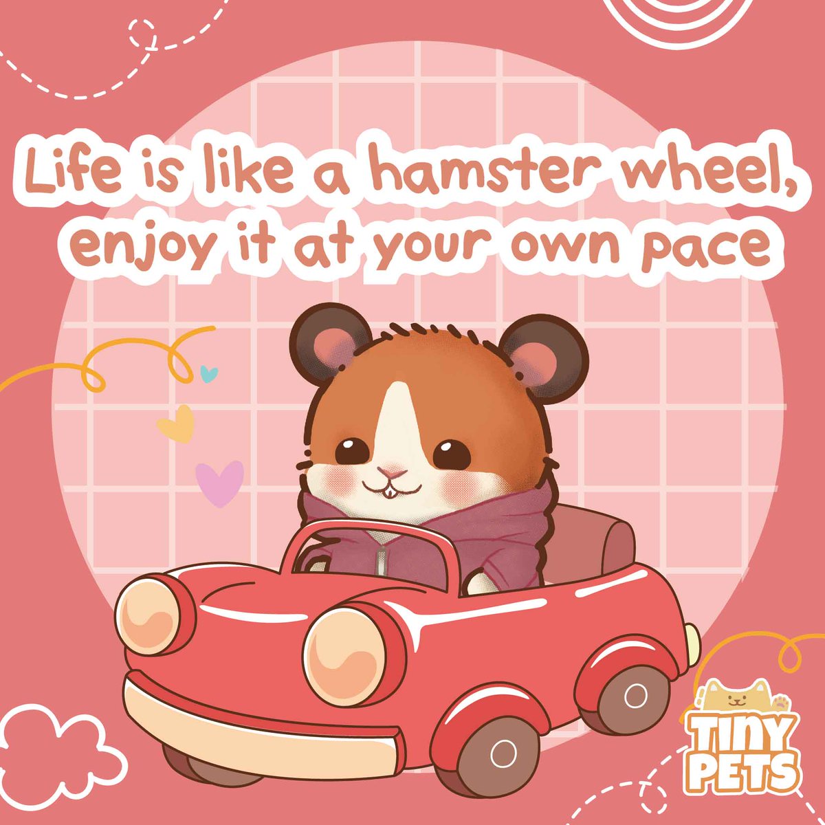 TheTinyPets's tweet photo. Life is like a hamster wheel, enjoy it at your own pace 🎡 - Nikko
#TheTinyPets #TinyPetsWorld #PetsTalk https://t.co/f8E5N4cmRc