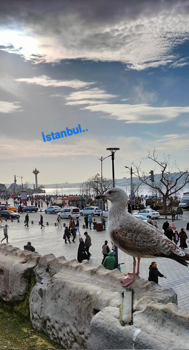 Nurullah_KOO's tweet photo. https://t.co/Zyhezt0Hmw