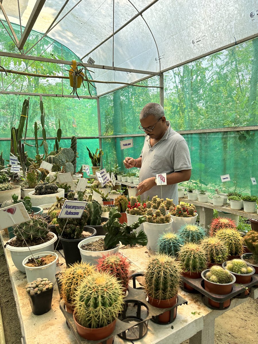 Mrinal_MLA's tweet photo. My #favoritepastime — taking care of my #plants …. https://t.co/ilPrjjUdTV