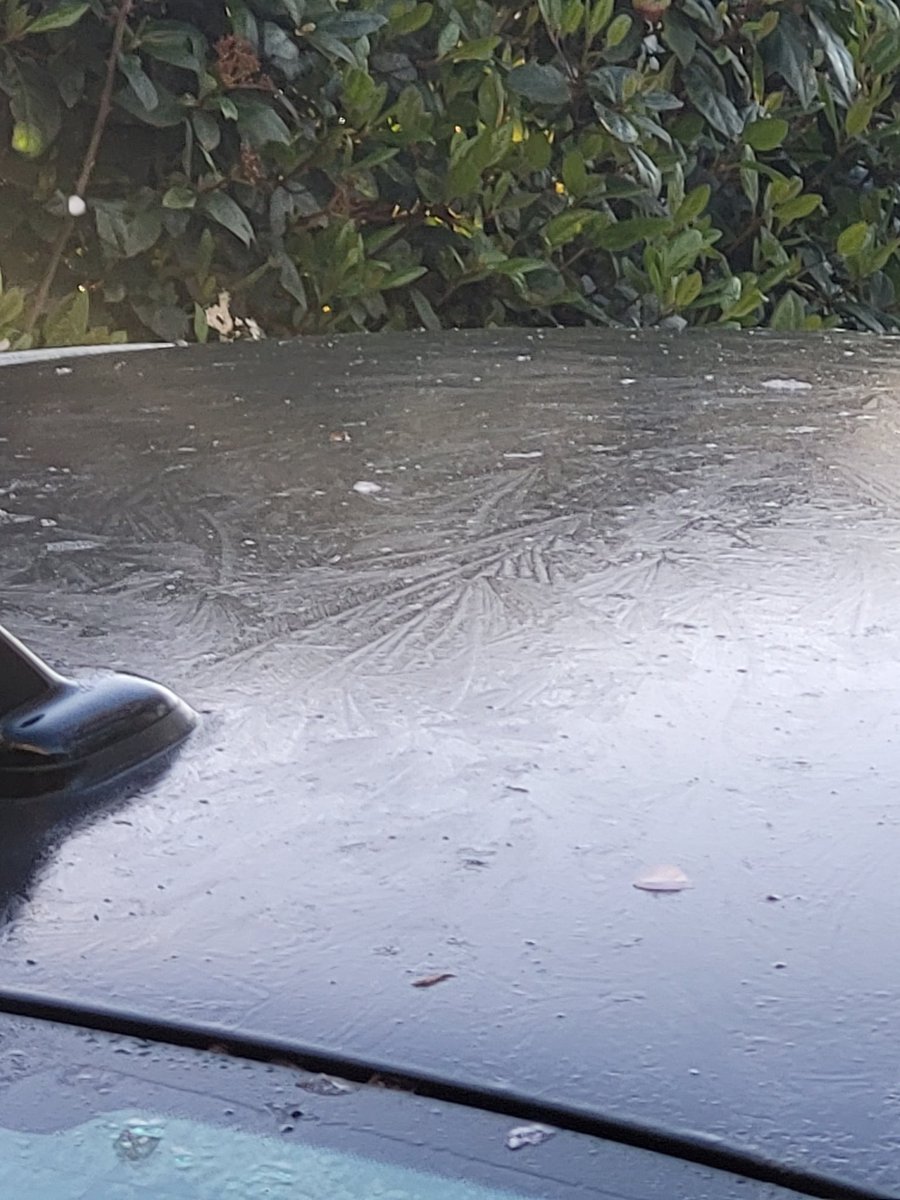 'Lil bit of frost this morning. <a href="/CarlowWeather/">Carlow Weather</a>