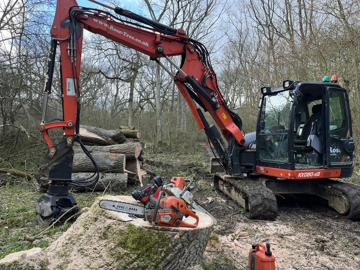 Dogs n Logs tweet media