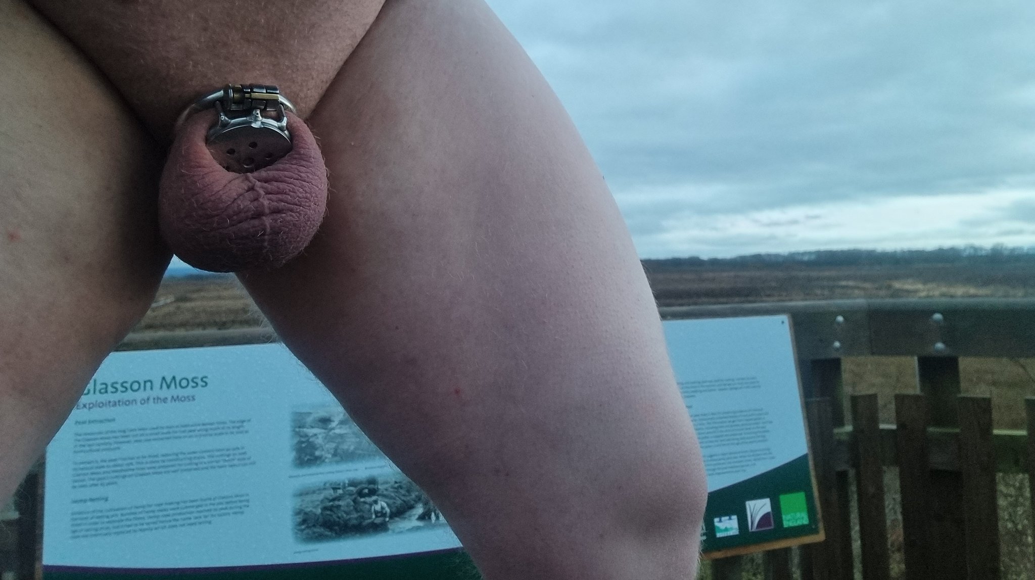 Chastity Cuckold على X: Good morning Twitter! Another breezy walk this  morning out in nature. chastity nude nudist naturist naturelover  walking chastity_belt chastitycage locked sph humiliation blueballs  exhibition publicnudity t ...