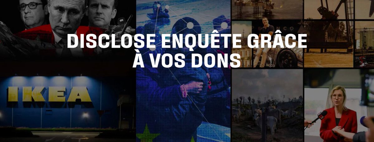 Disclose tweet media