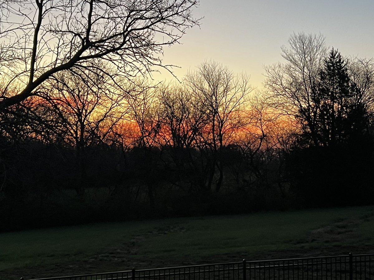 Michele Markey tweet media