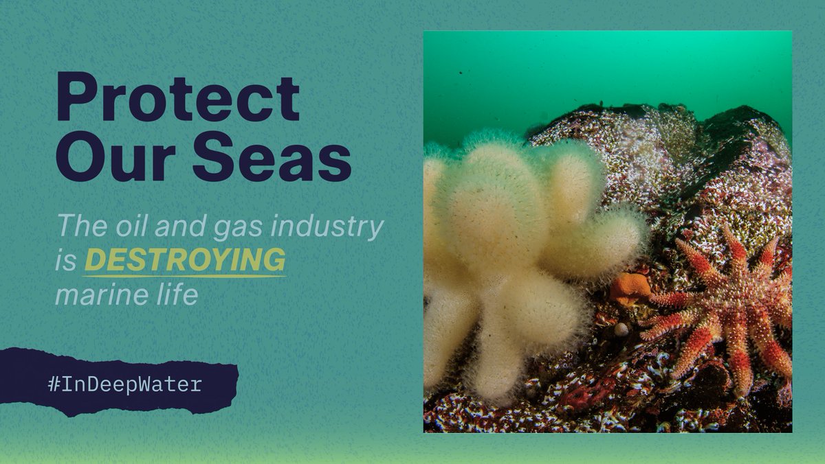 New research shows oil and gas companies released 20,000 tonnes of oil in UK seas in the last 5 years, including within marine protected areas!😱(1/4)